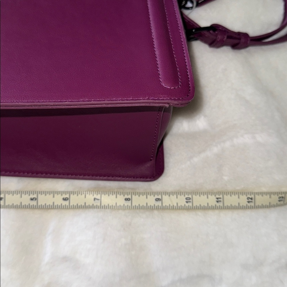 🦇🦇Viral Tik Tok Steve Madden Halloween Plum Evelyn Bats Satchel Purse🦇 - Picture 7 of 9